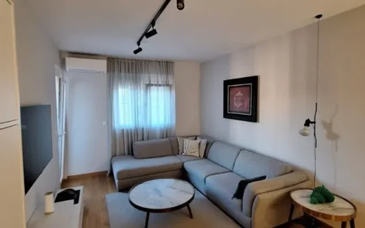 One bedroom apartment for rent, New City, Podgorica