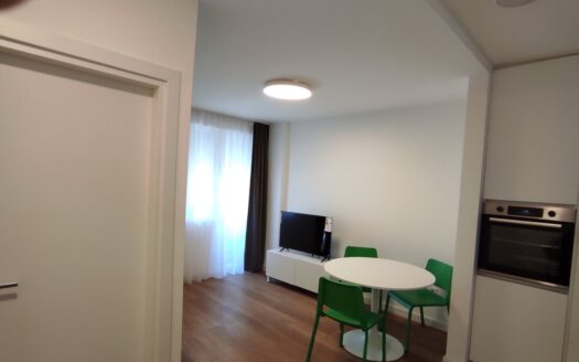 Jednosoban stan za izdavanje, Preko Morače, Podgorica