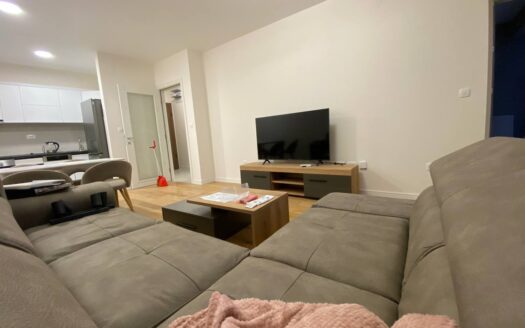 One bedroom apartment for rent, Central Point, Podgorica