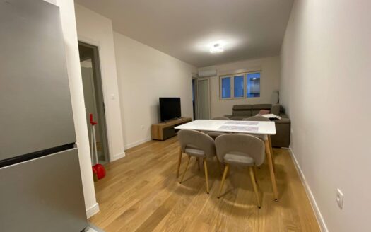 One bedroom apartment for rent, Central Point, Podgorica