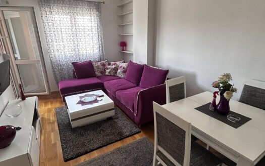 One bedroom apartment for rent, Zabjelo, Podgorica
