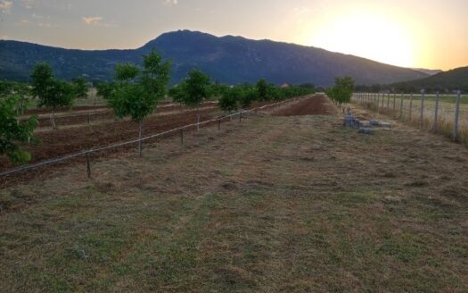 Plac na prodaju, Donja Gorica, Podgorica