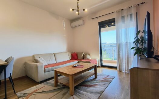 Jednosoban stan za izdavanje, Blok 9, Podgorica