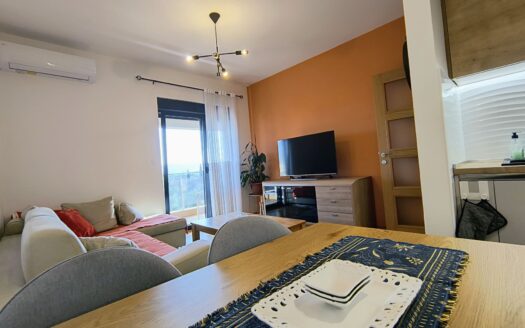 Jednosoban stan za izdavanje, Blok 9, Podgorica