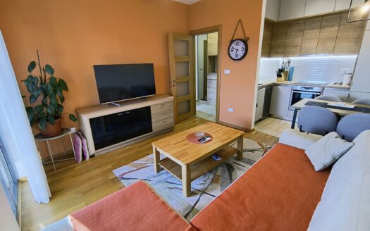 Jednosoban stan za izdavanje, Blok 9, Podgorica