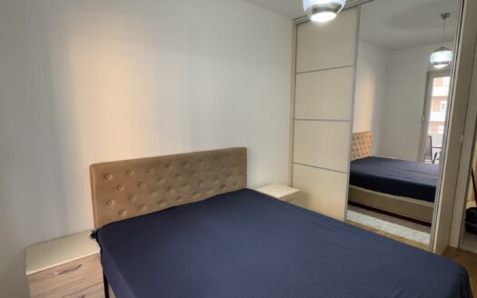 One bedroom apartment for rent, Central Point, Podgorica