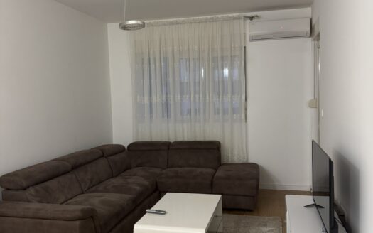 One bedroom apartment for rent, Central Point, Podgorica