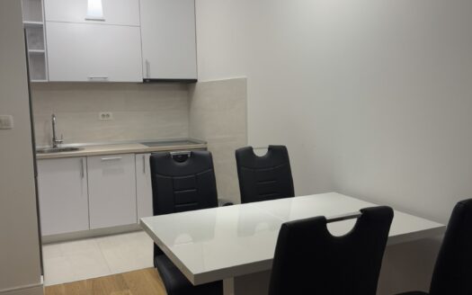 One bedroom apartment for rent, Central Point, Podgorica