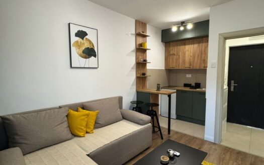 One bedroom apartment for rent, Stari Aerodrom, Podgorica