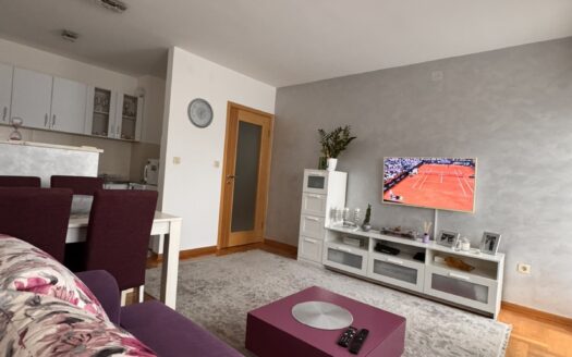 One bedroom apartment for rent, Stari Aerodrom, Podgorica