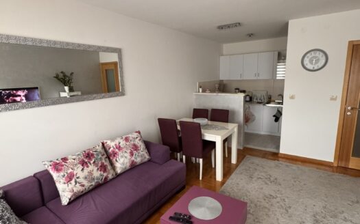 One bedroom apartment for rent, Stari Aerodrom, Podgorica