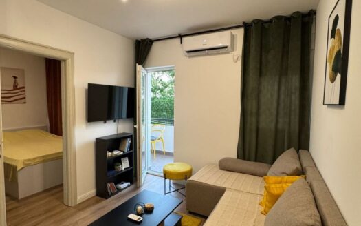 One bedroom apartment for rent, Stari Aerodrom, Podgorica