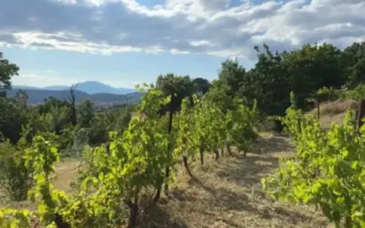 Land for sale, Doljani, Podgorica