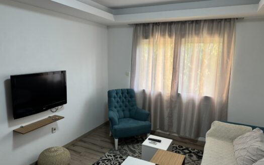 One bedroom apartment for rent, Centar, Podgorica