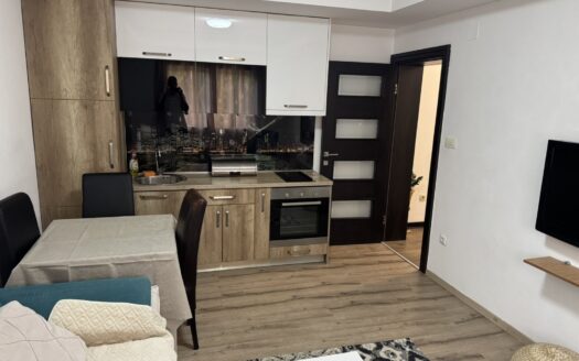 One bedroom apartment for rent, Centar, Podgorica