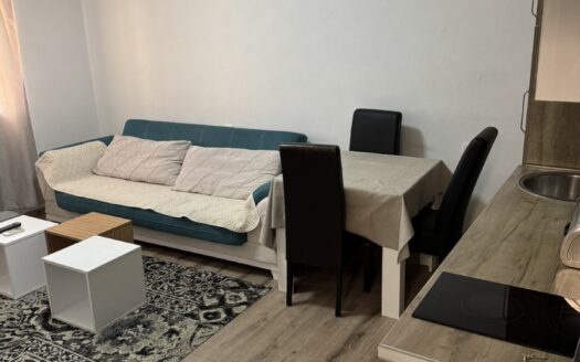 One bedroom apartment for rent, Centar, Podgorica