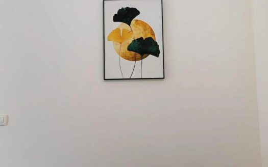 One bedroom apartment for rent, Budva