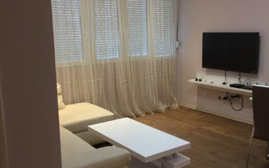 One bedroom apartment for rent, Center, Podgorica