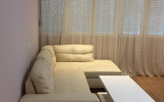 One bedroom apartment for rent, Center, Podgorica