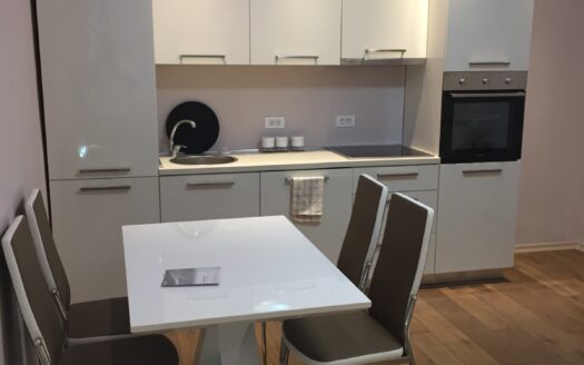 One bedroom apartment for rent, Center, Podgorica