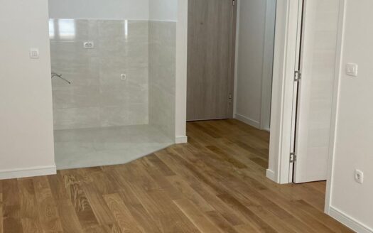 One bedroom apartment for rent, Central Point, Podgorica