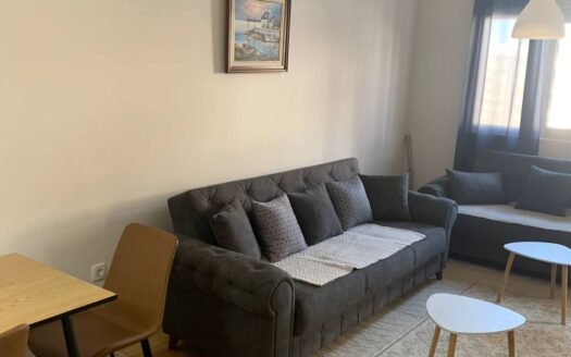 One bedroom apartment for rent, Central Point, Podgorica