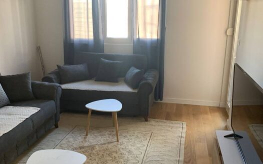 One bedroom apartment for rent, Central Point, Podgorica