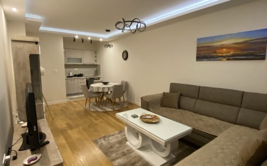 One bedroom apartment for rent, Central Point, Podgorica
