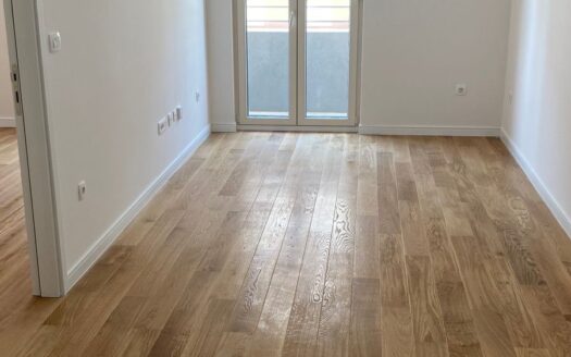 One bedroom apartment for rent, Central Point, Podgorica