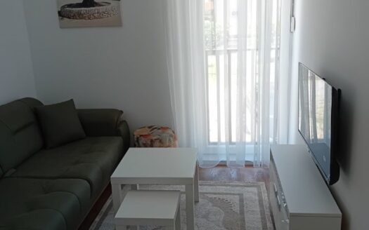 Jednosoban stan za izdavanje, Central Point, Podgorica