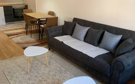 One bedroom apartment for rent, Central Point, Podgorica