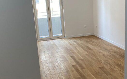 One bedroom apartment for rent, Central Point, Podgorica