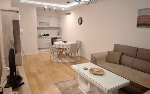 One bedroom apartment for rent, Central Point, Podgorica