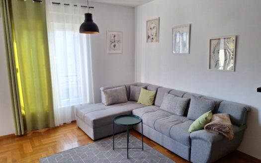 One bedroom apartment for rent, Pobrežje, Podgorica