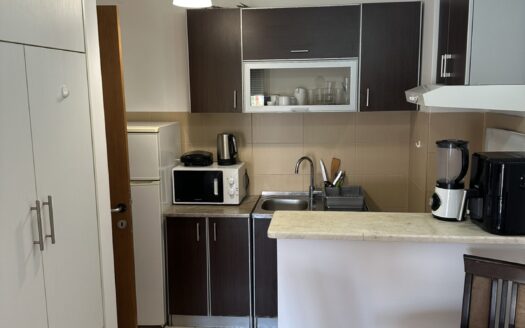 One bedroom apartment for rent, Pobrežje, Podgorica