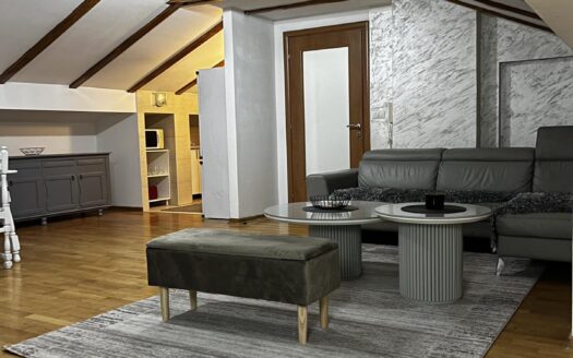 Two bedroom apartment for rent, Stari Aerodrom, Podgorica