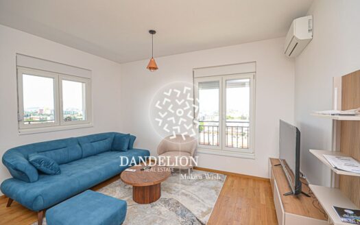 The B-Max Vibe, Stari Aerodrom, Podgorica