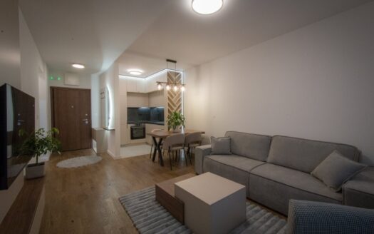 One bedroom apartment for rent, Stari Aerodrom, Podgorica