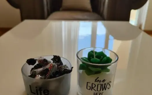 Two bedroom apartment for rent, Tuški put, Podgorica