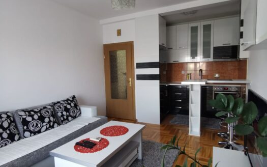 Jednosoban stan za izdavanje, Zabjelo, Podgorica