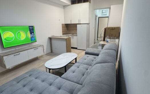 Five studio apartments for rent, Momišići, Podgorica