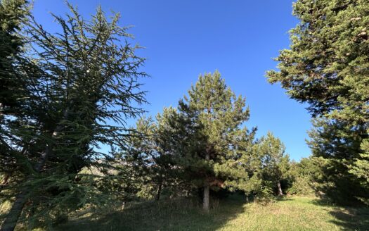 Land with houses for sale, Fundina, Podgorica