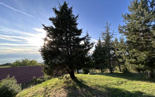 Land with houses for sale, Fundina, Podgorica