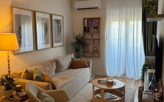 One bedroom apartment for rent, Central Point, Podgorica
