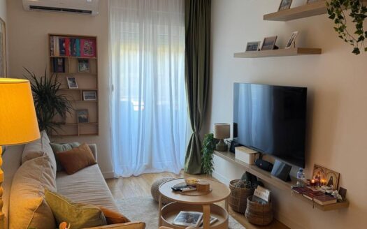 One bedroom apartment for rent, Central Point, Podgorica