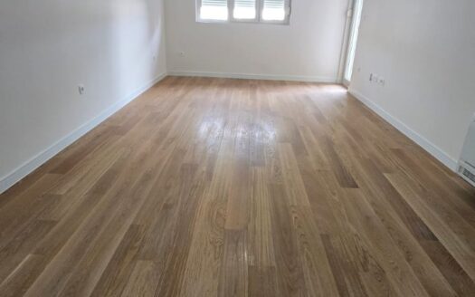 Two bedroom apartment for rent, Central Point, Podgorica