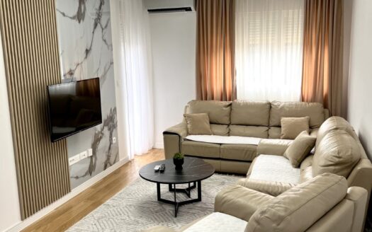 One bedroom apartment for rent, Central Point, Podgorica