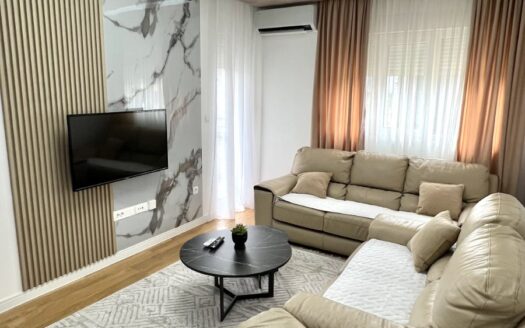 One bedroom apartment for rent, Central Point, Podgorica