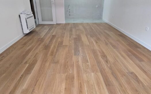 Two bedroom apartment for rent, Central Point, Podgorica