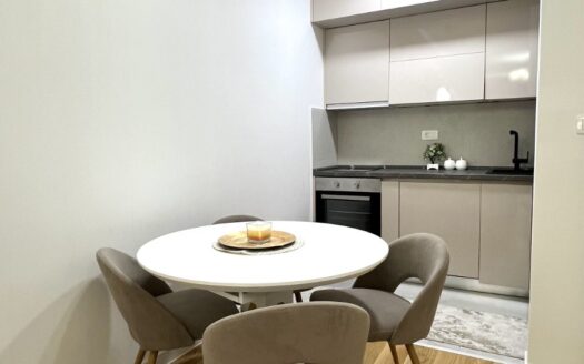 One bedroom apartment for rent, Central Point, Podgorica